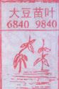 梦到大豆苗叶.jpg